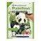 PJS39 | Painting by numbers™ 10pc 8.75" x 11.375" Panda & Baby Painting Project